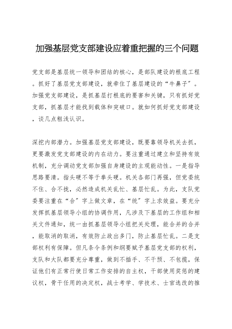 2023年加强基层党支部建设应着重把握的三个问题.doc_第1页