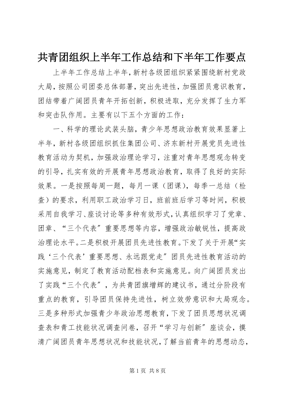 2023年共青团组织上半年工作总结和下半年工作要点.docx_第1页