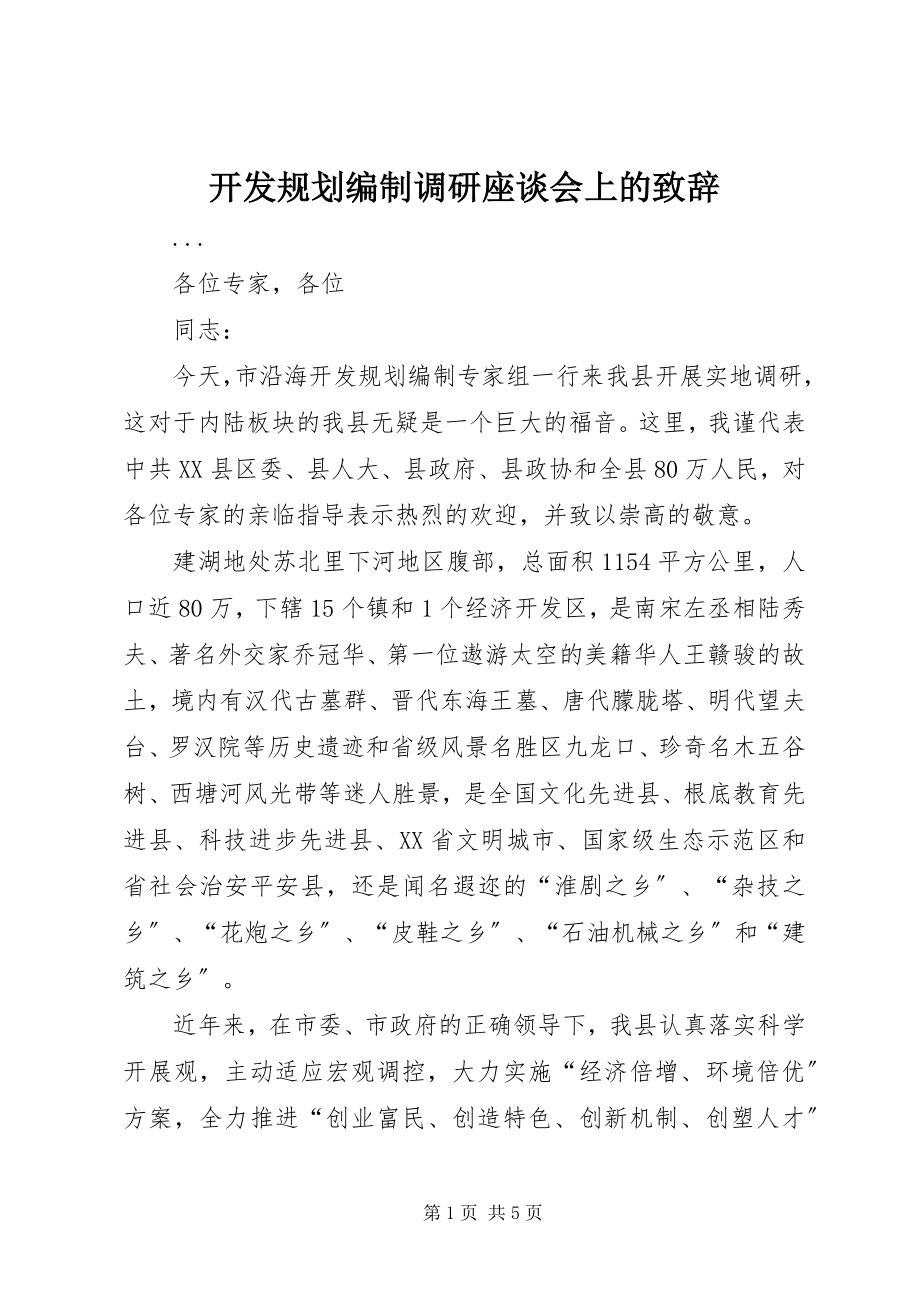 2023年开发规划编制调研座谈会上的致辞.docx_第1页