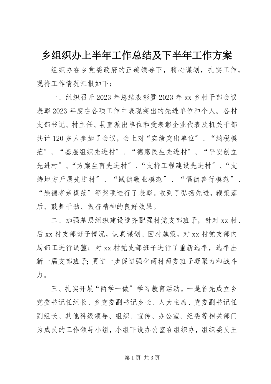 2023年乡组织办上半年工作总结及下半年工作计划.docx_第1页