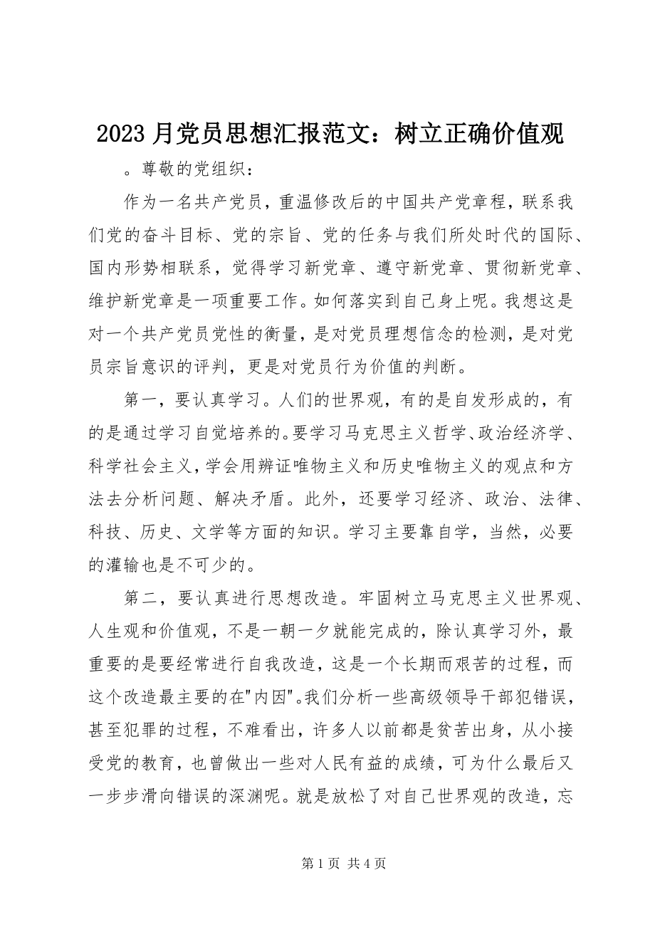 2023年月党员思想汇报树立正确价值观新编.docx_第1页