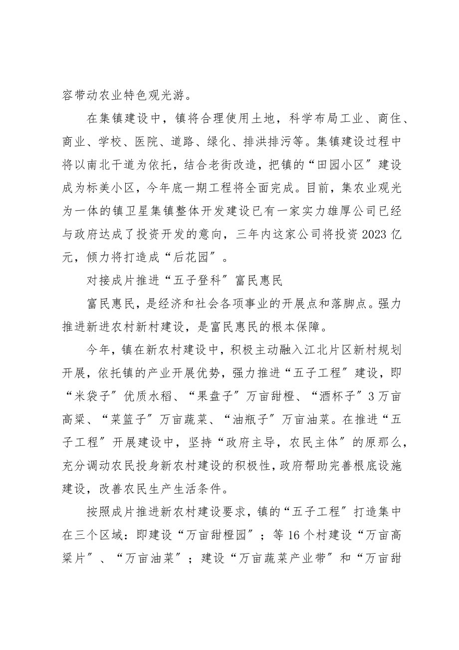 2023年打造特色农业镇经验交流新编.docx_第2页