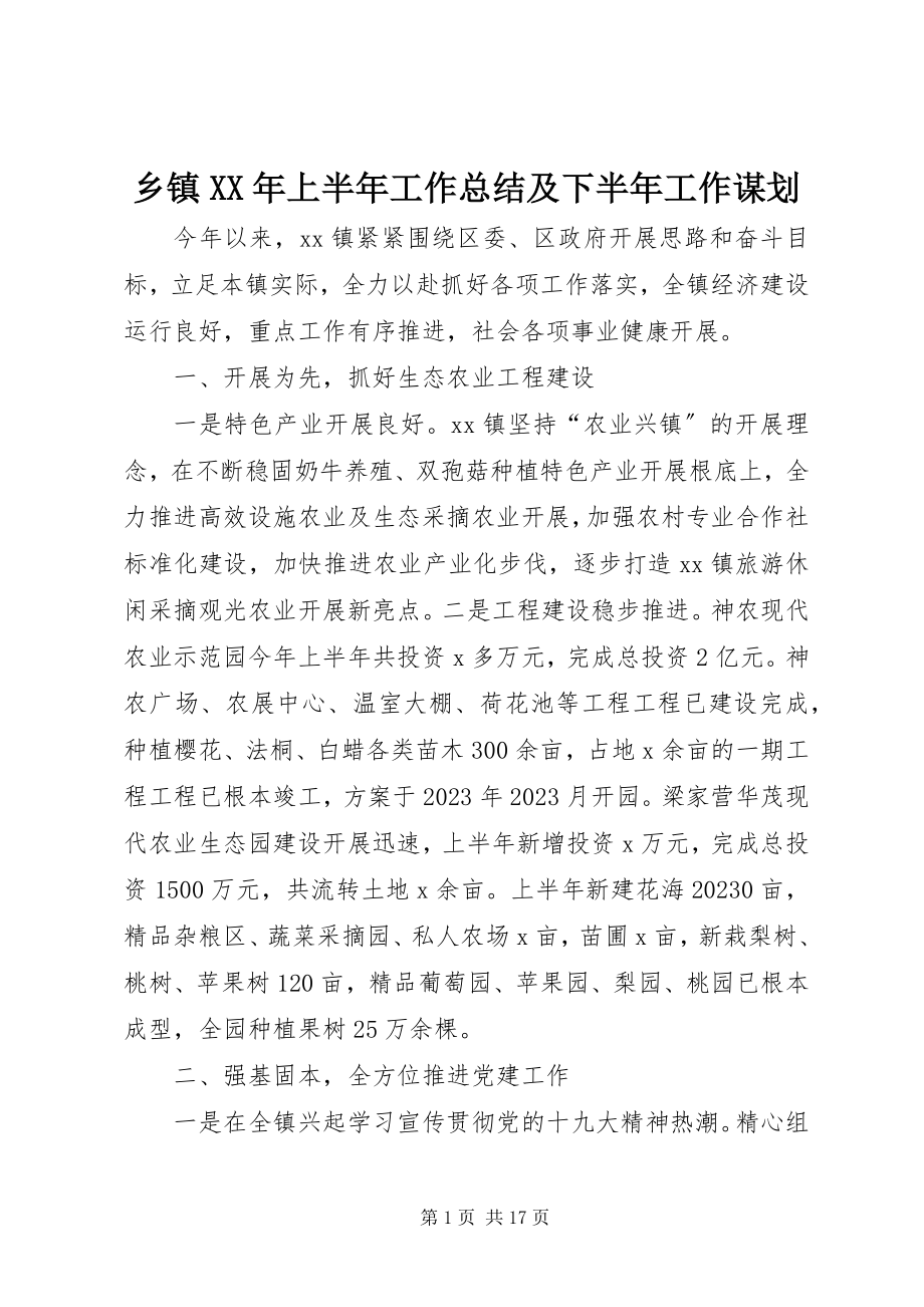 2023年乡镇上半年工作总结及下半年工作谋划.docx_第1页