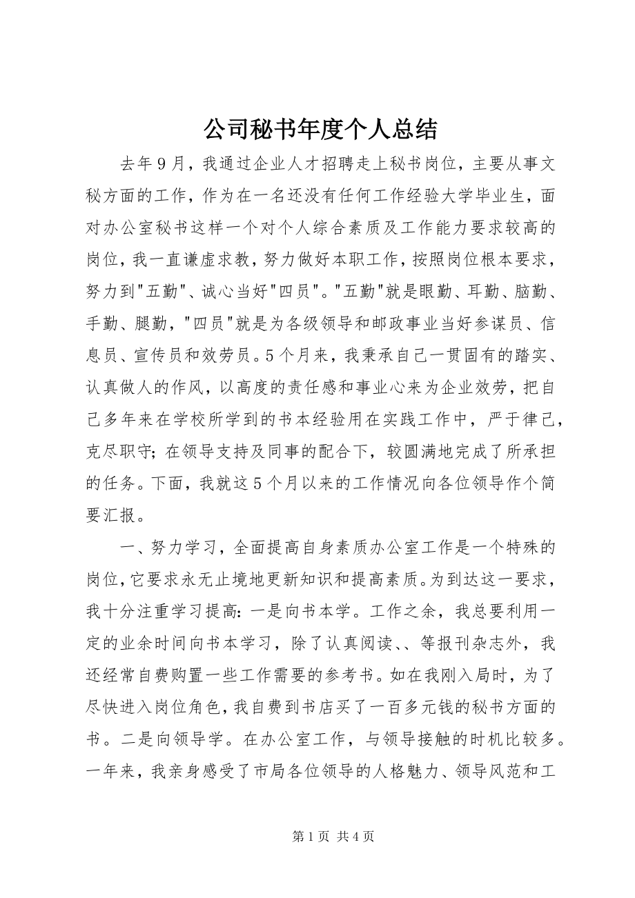 2023年公司秘书年度个人总结.docx_第1页