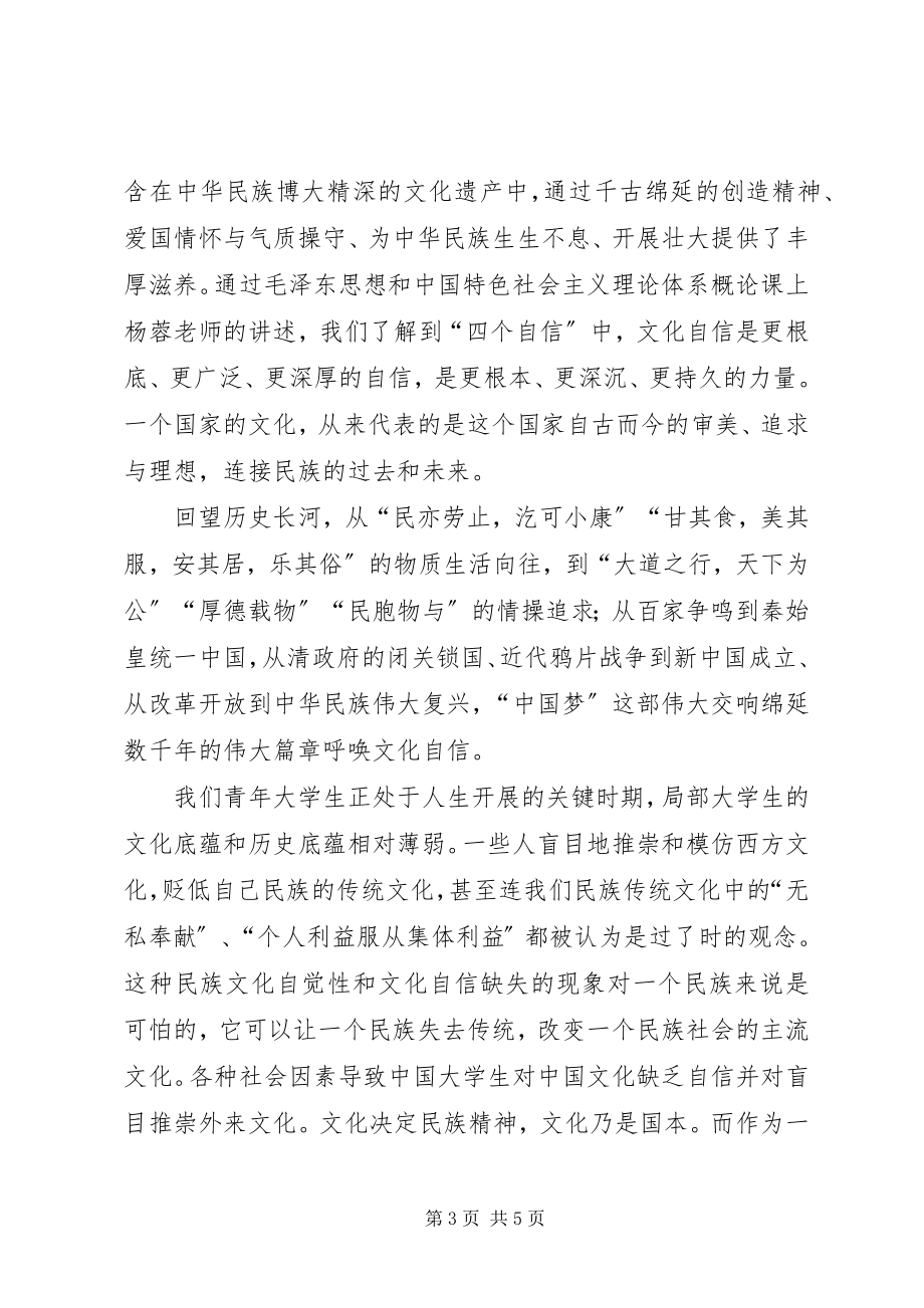 2023年思政课学习心得增强文化自信笃行使命担当2.docx_第3页