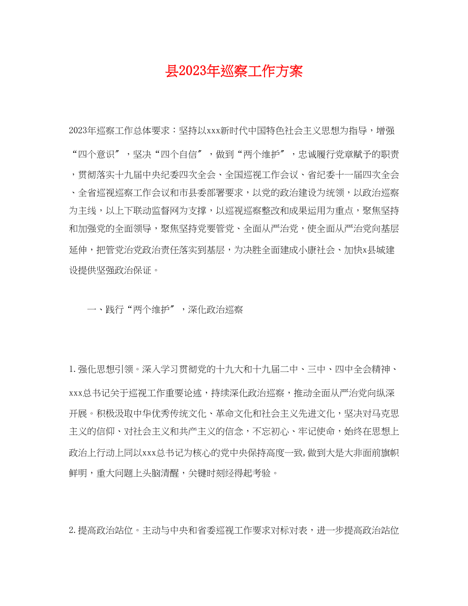 2023年县巡察工作计划.docx_第1页