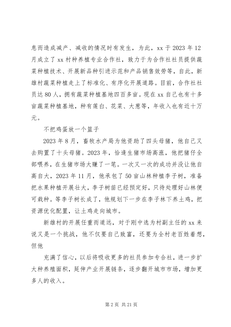 2023年脱贫先进事迹材料.docx_第2页