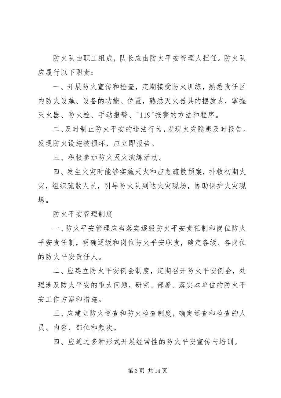 2023年消防安全责任人职责.docx_第3页