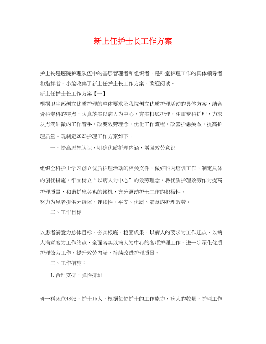 2023年新上任护士长工作计划.docx_第1页