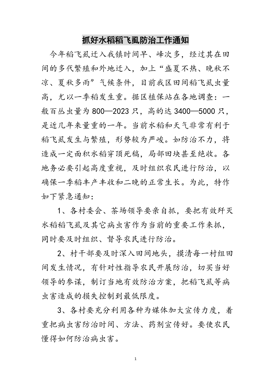 2023年抓好水稻稻飞虱防治工作通知范文.doc_第1页