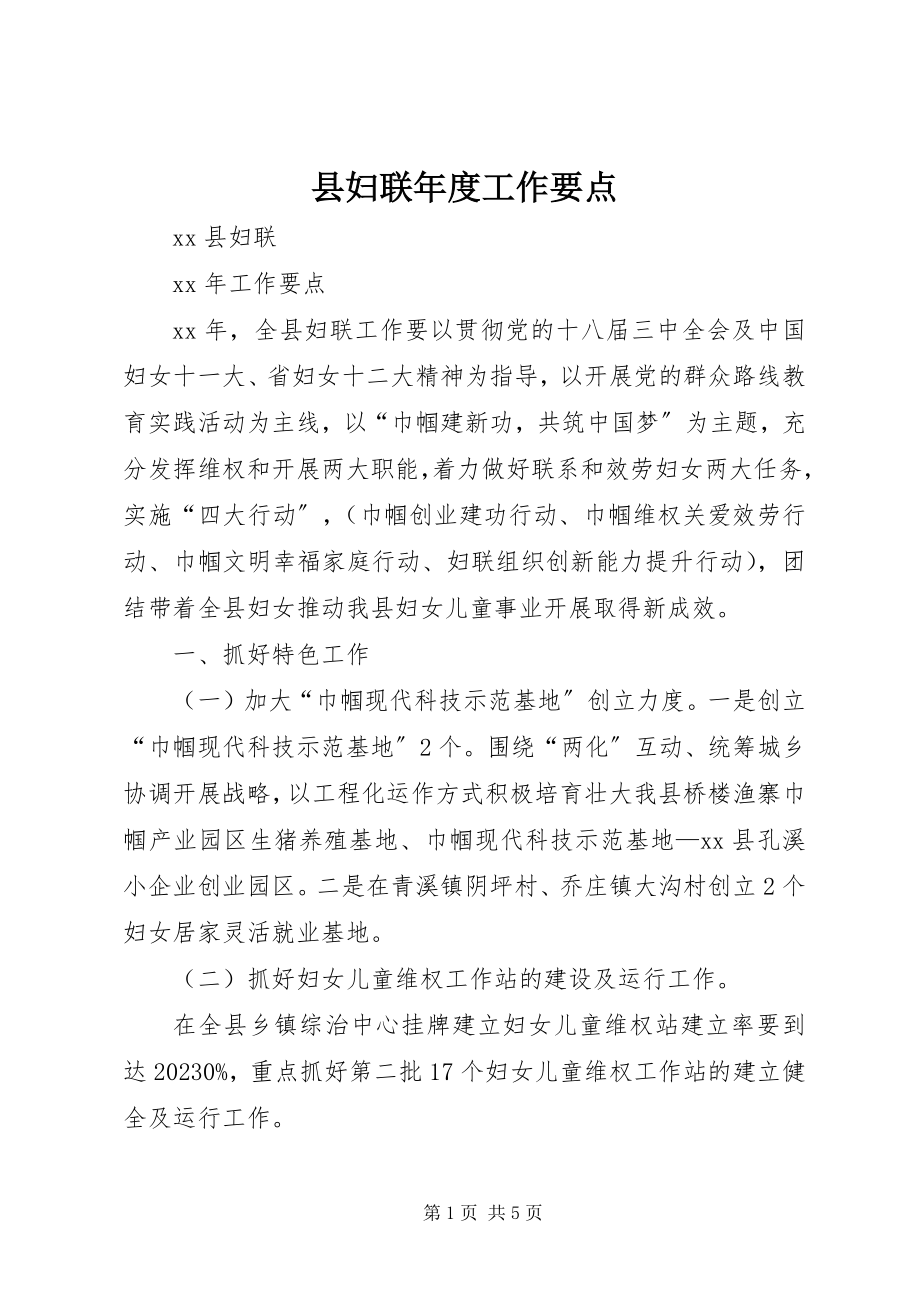 2023年县妇联年度工作要点.docx_第1页