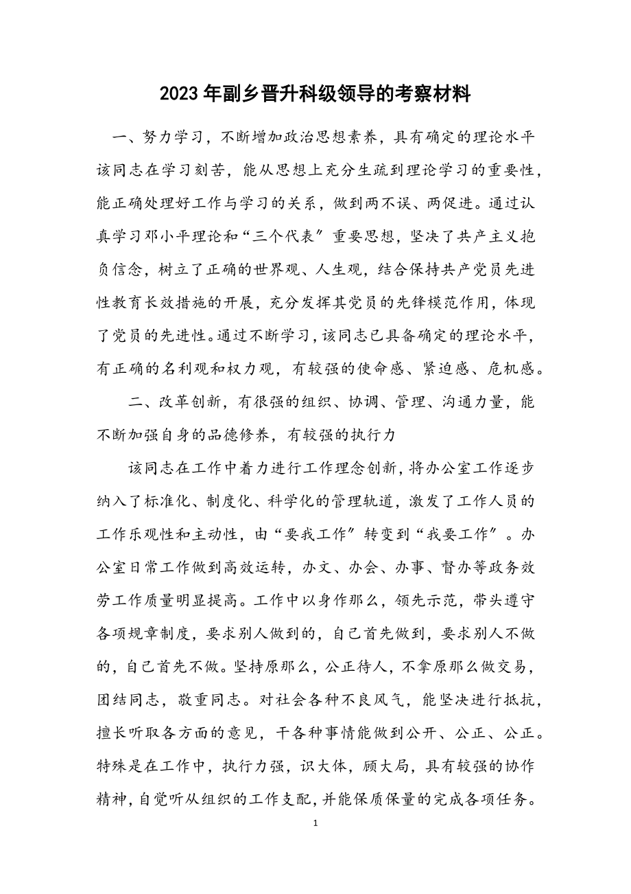 2023年副乡晋升科级领导的考察材料.docx_第1页