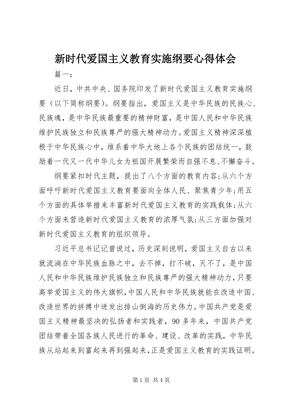 2023年新时代爱国主义教育实施纲要心得体会.docx_第1页