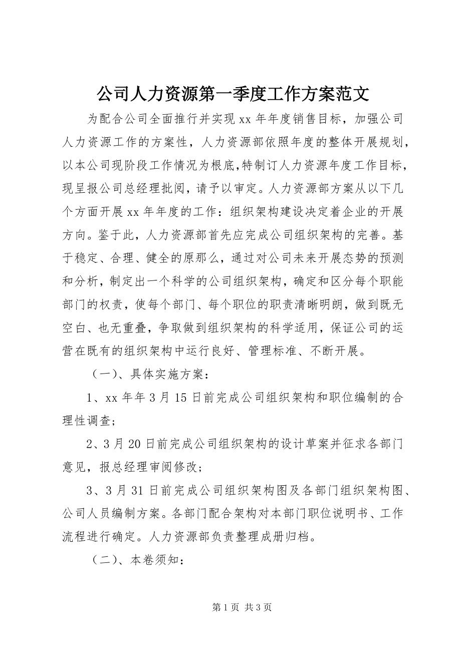 2023年公司人力资源第一季度工作计划.docx_第1页