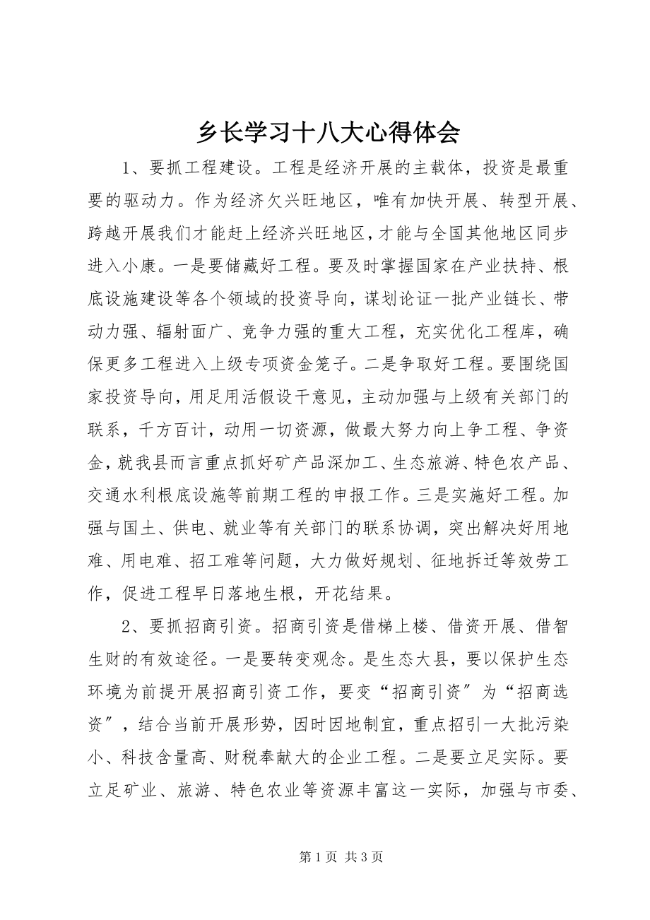 2023年乡长学习十八大心得体会.docx_第1页