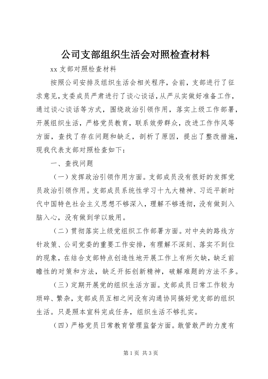 2023年公司支部组织生活会对照检查材料.docx_第1页