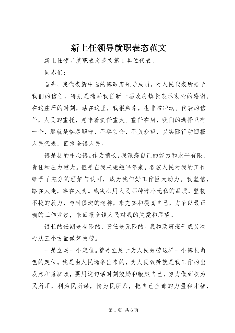 2023年新上任领导就职表态.docx_第1页