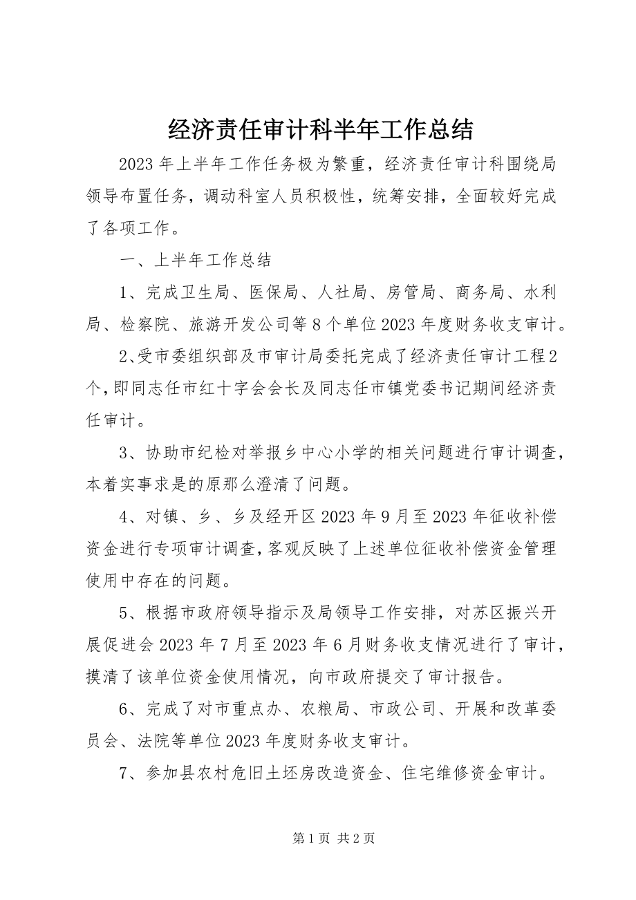 2023年经济责任审计科半工作总结.docx_第1页