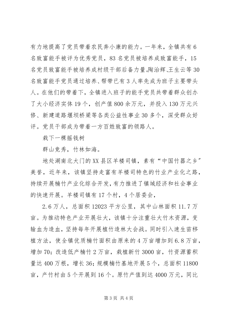 2023年竹乡飞歌春来早记羊楼司镇党委政府.docx_第3页