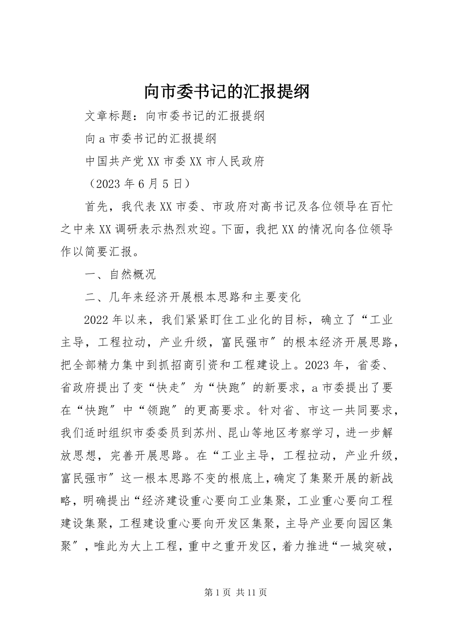 2023年向市委书记的汇报提纲.docx_第1页