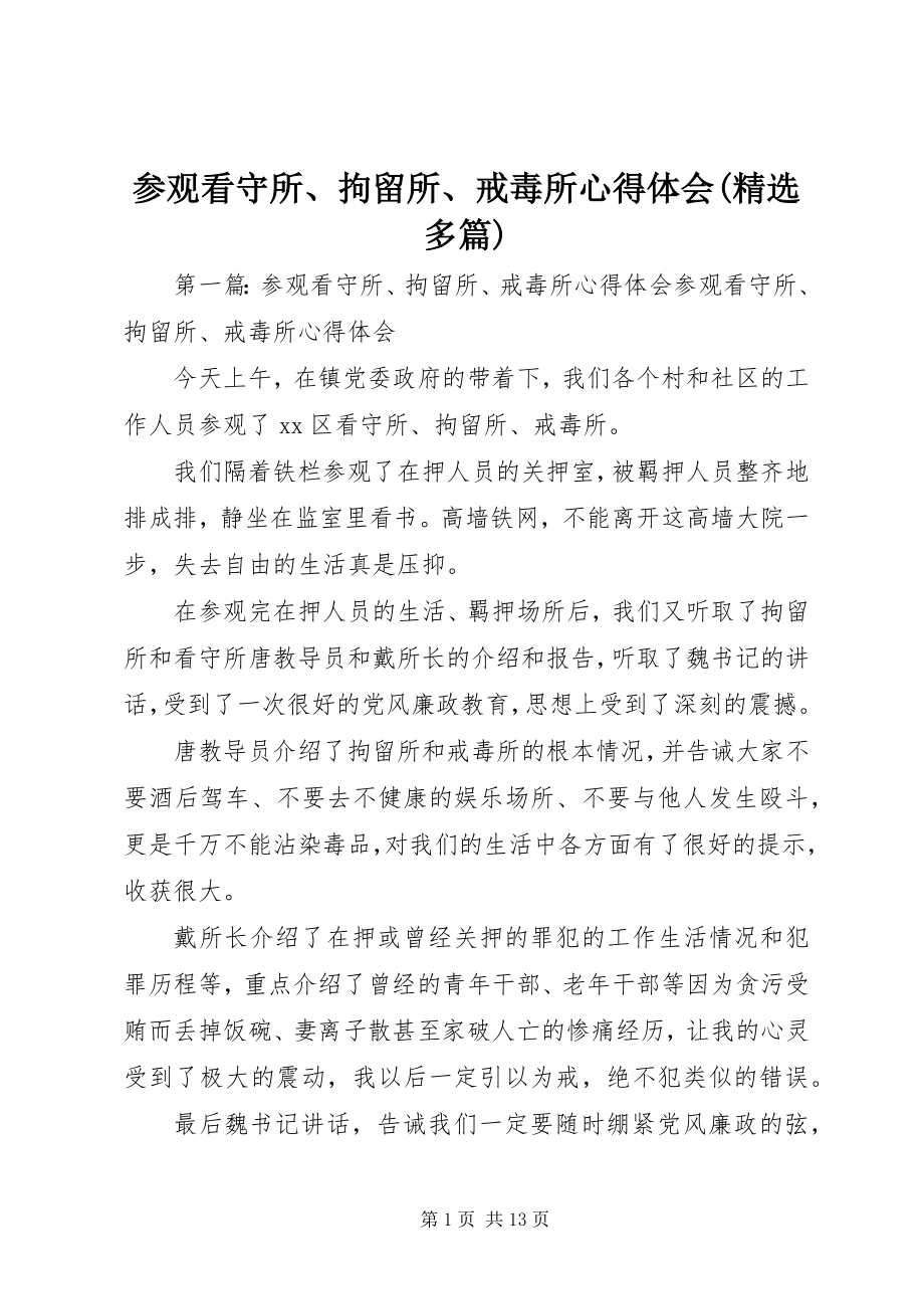 2023年参观看守所拘留所戒毒所心得体会精选多篇新编.docx_第1页