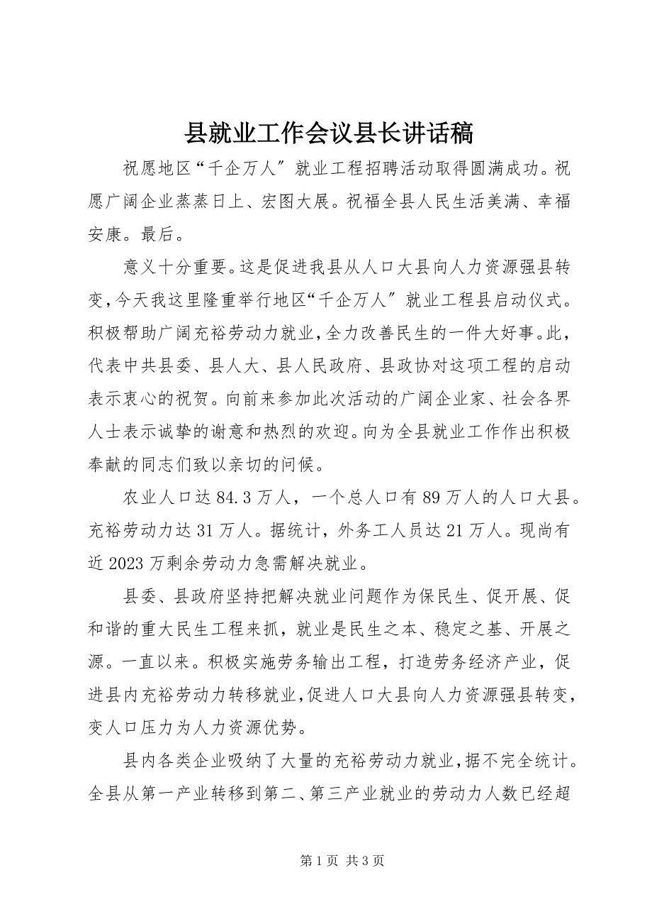 2023年县就业工作会议县长致辞稿.docx_第1页