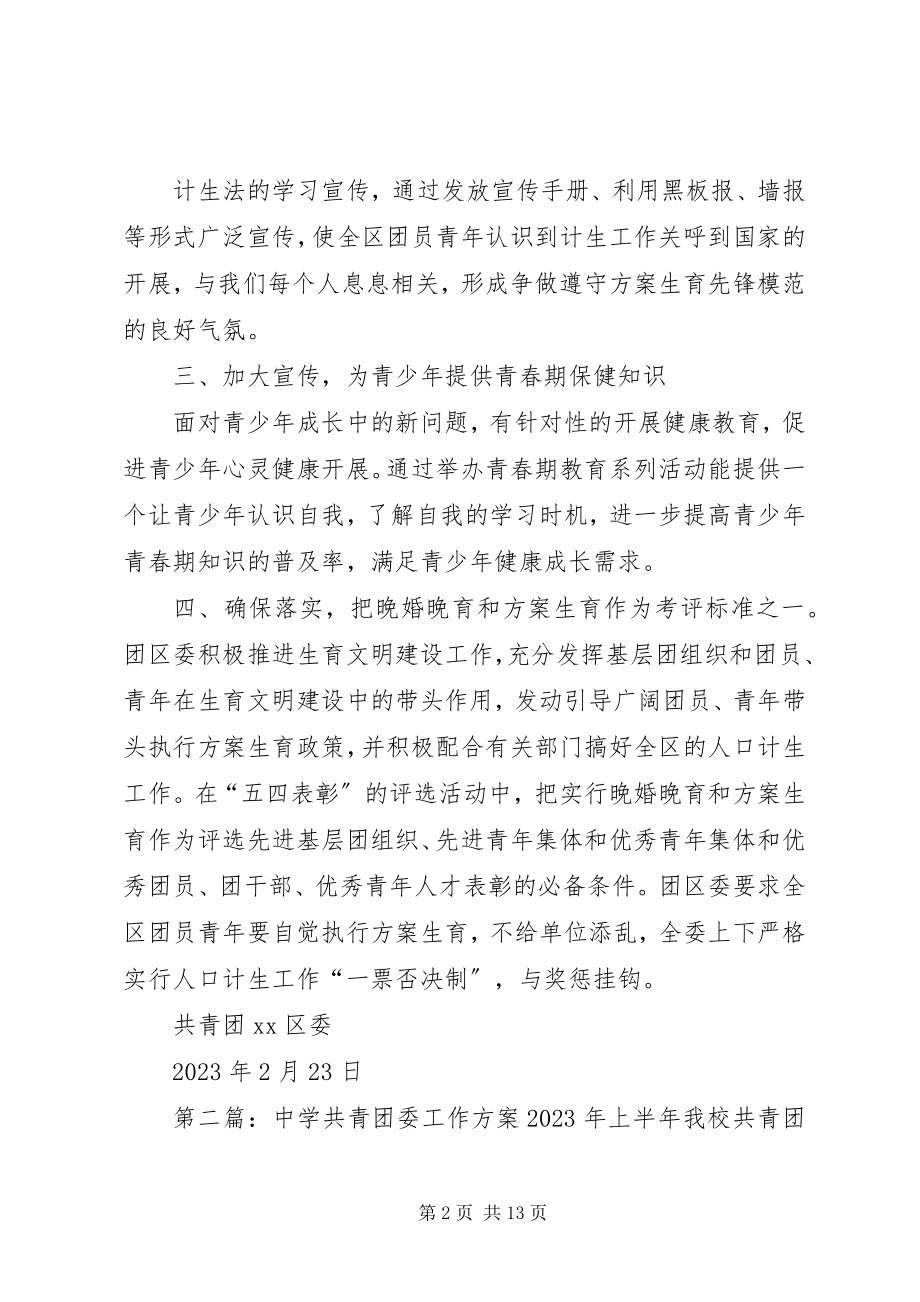 2023年共青团委计划生育工作计划.docx_第2页