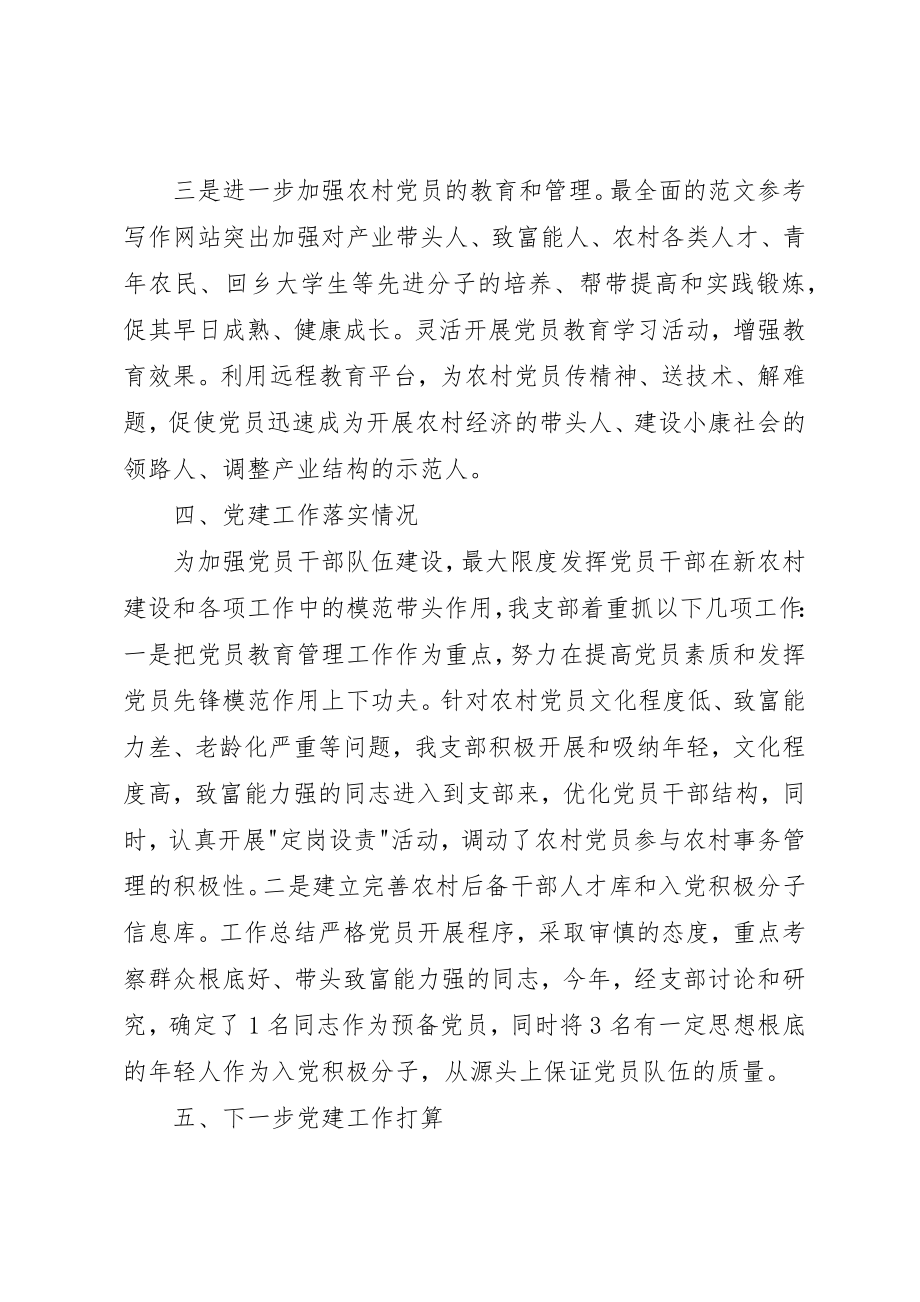 2023年村党支部某年党建工作讲话材料两篇新编.docx_第3页