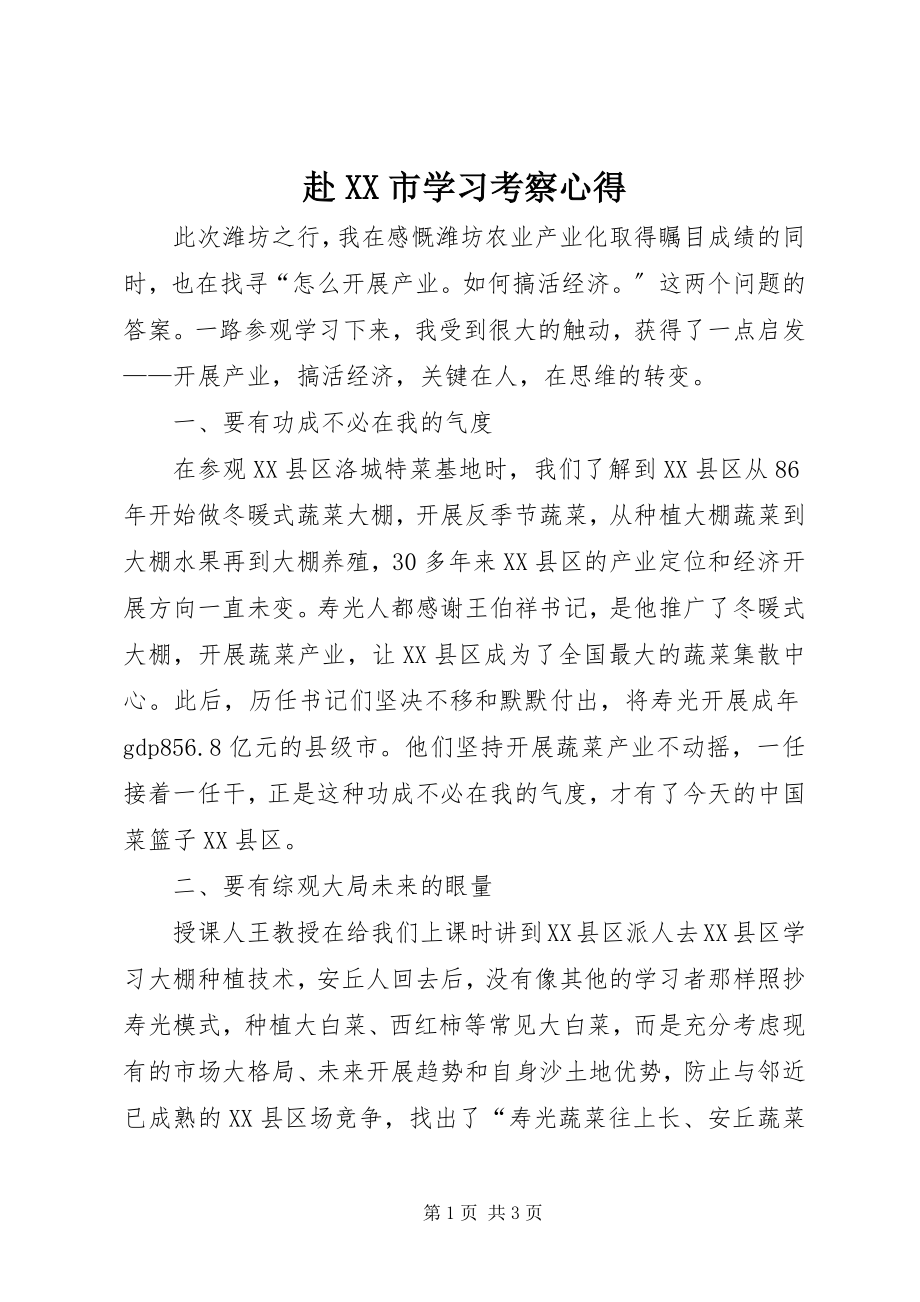 2023年赴XX市学习考察心得.docx_第1页