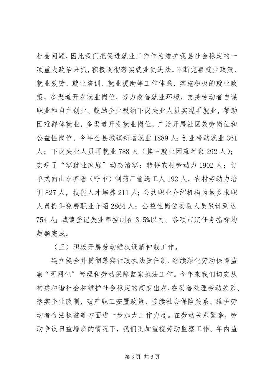 2023年社会治安综合治理年终工作总结总结.docx_第3页