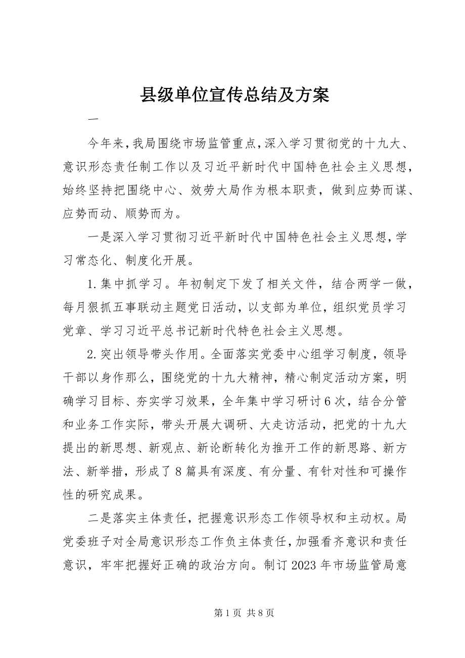 2023年县级单位宣传总结及计划.docx_第1页