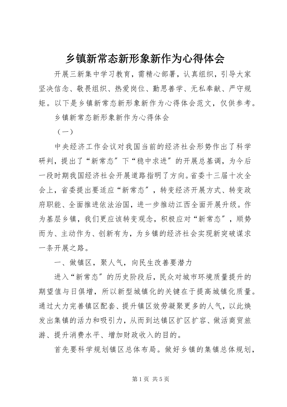 2023年乡镇新常态新形象新作为心得体会.docx_第1页