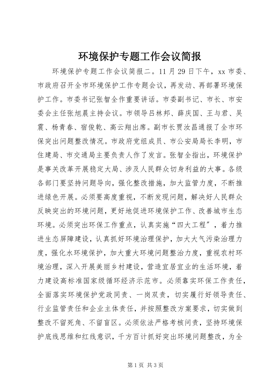 2023年环境保护专题工作会议简报.docx_第1页