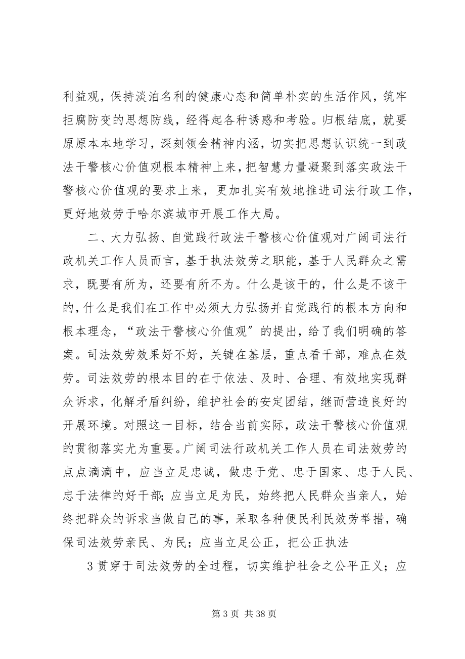 2023年弘扬政法干警核心价值观树立正确执法服务理念.docx_第3页