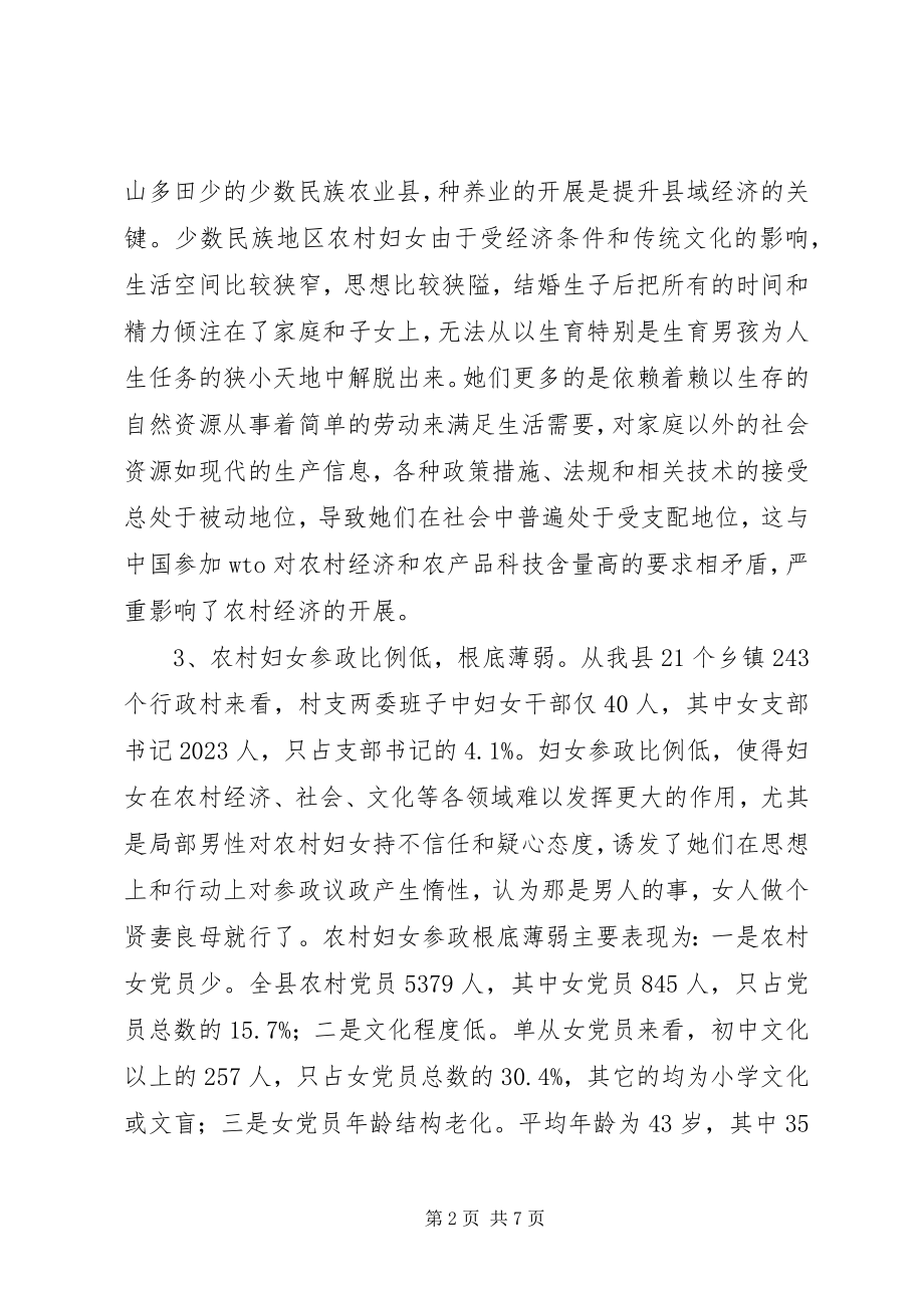 2023年少数民族地区农村妇女　　人力资源开发的再思.docx_第2页