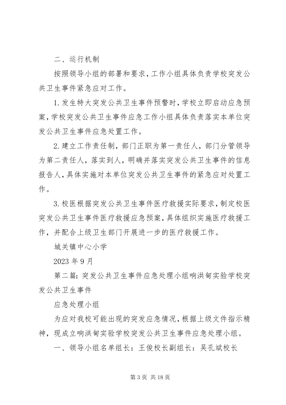 2023年突发公共卫生事件应急处理领导小组4.docx_第3页