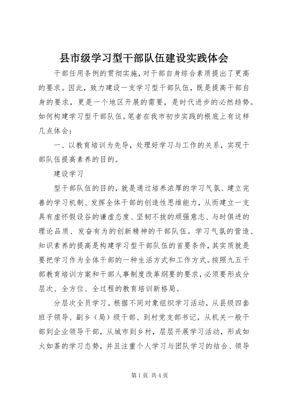 2023年县市级学习型干部队伍建设实践体会.docx_第1页