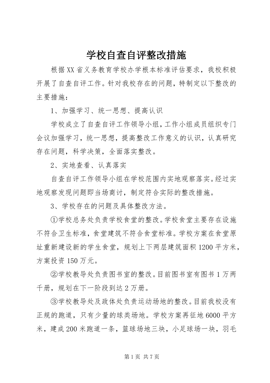 2023年学校自查自评整改措施.docx_第1页