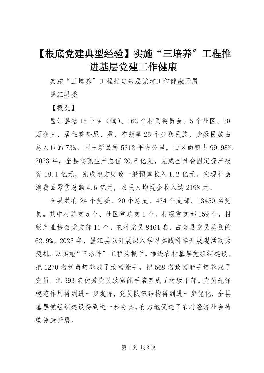 2023年基础党建典型经验实施三培养工程推进基层党建工作健康.docx_第1页