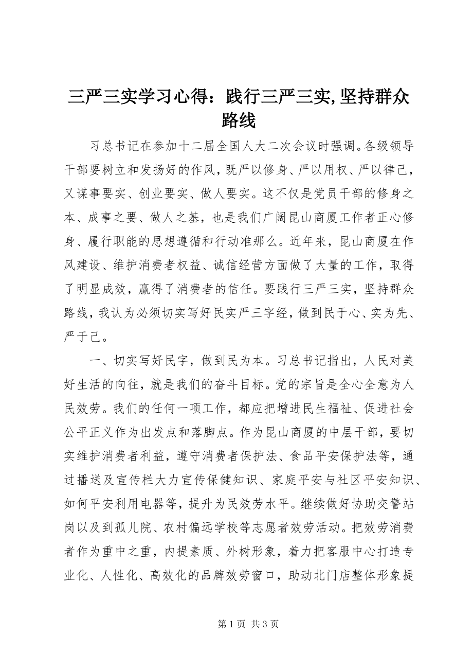 2023年三严三实学习心得践行三严三实坚持群众路线.docx_第1页