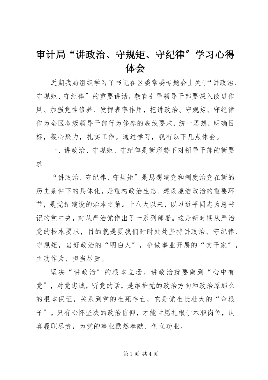 2023年审计局“讲政治守规矩守纪律”学习心得体会.docx_第1页