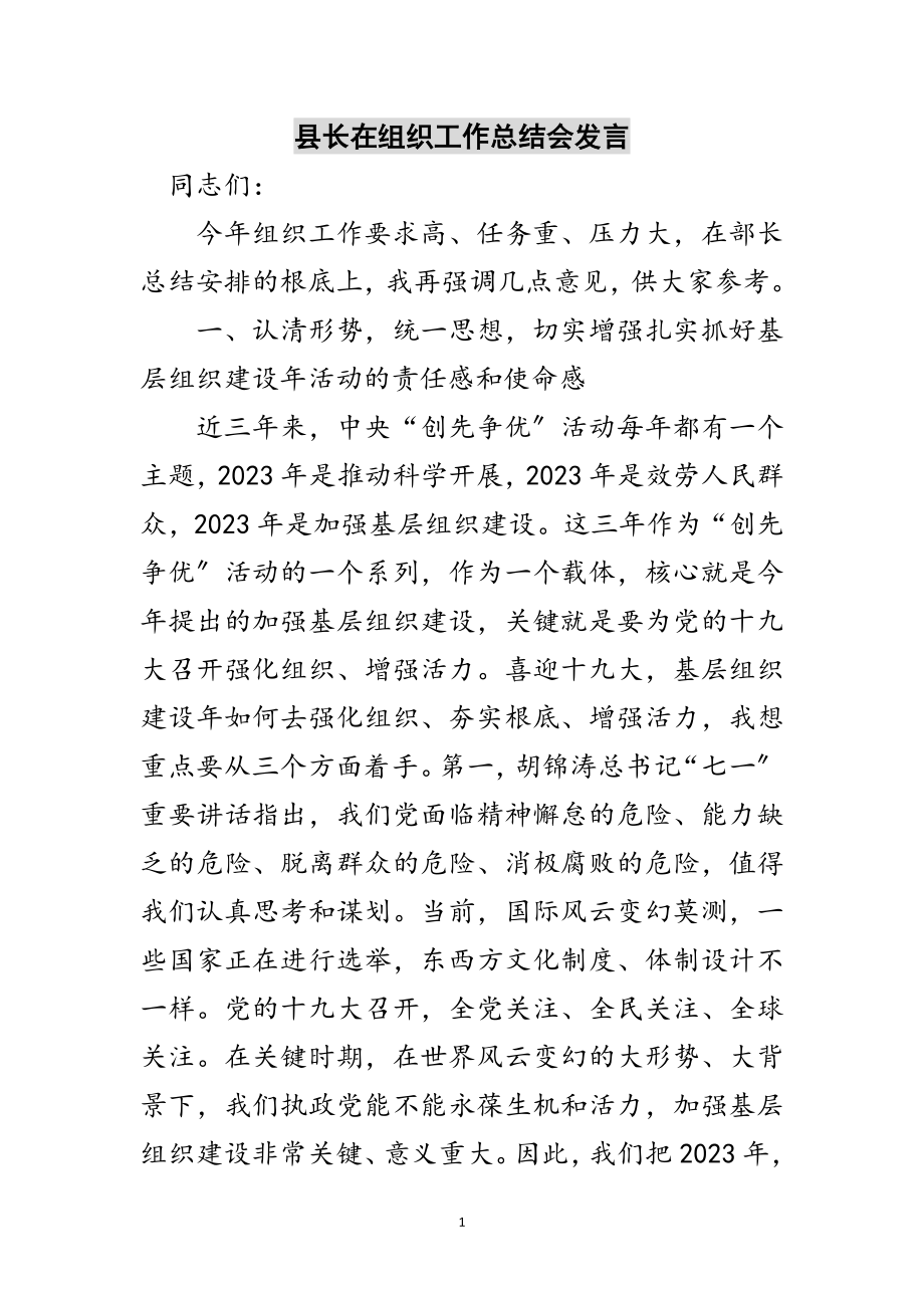 2023年县长在组织工作总结会发言范文.doc_第1页