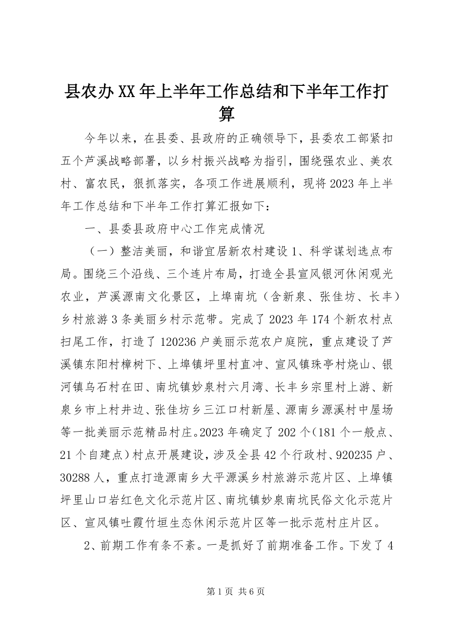 2023年县农办上半年工作总结和下半年工作打算.docx_第1页