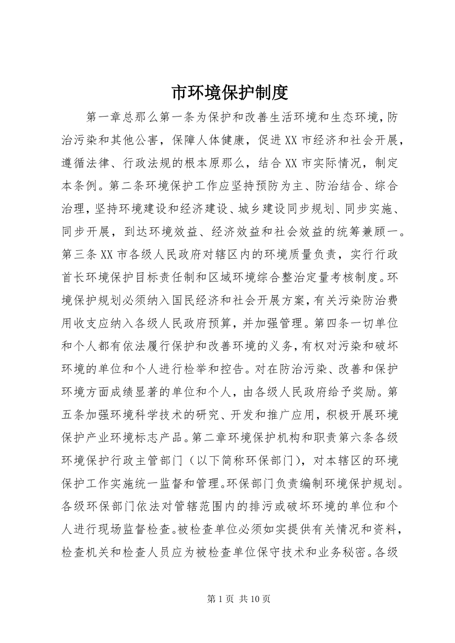 2023年市环境保护制度.docx_第1页