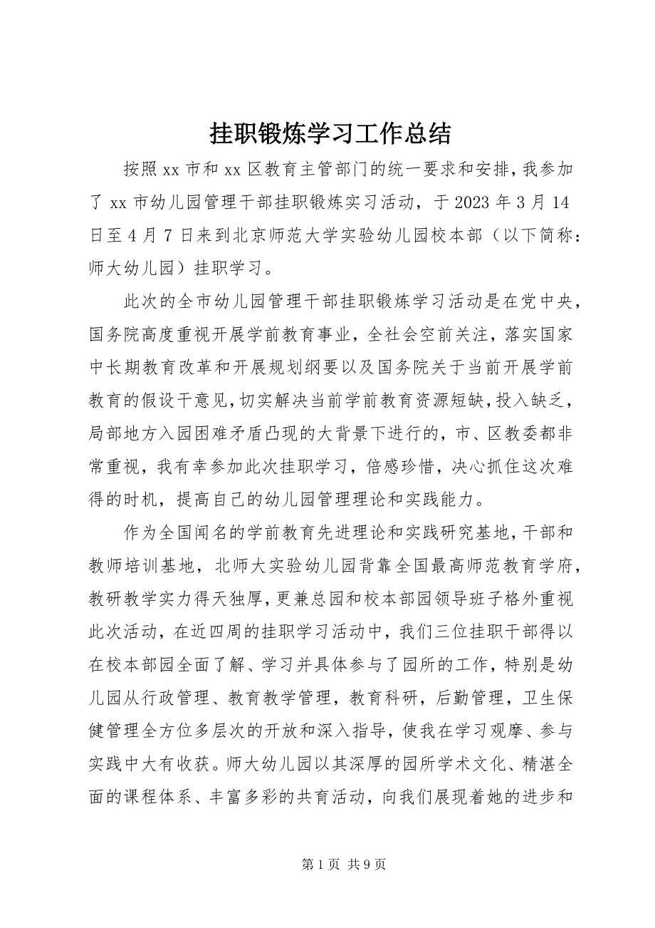 2023年挂职锻炼学习工作总结.docx_第1页