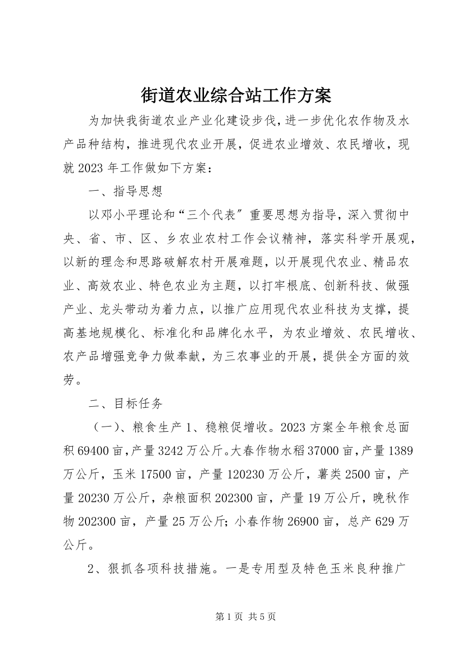 2023年街道农业综合站工作计划.docx_第1页