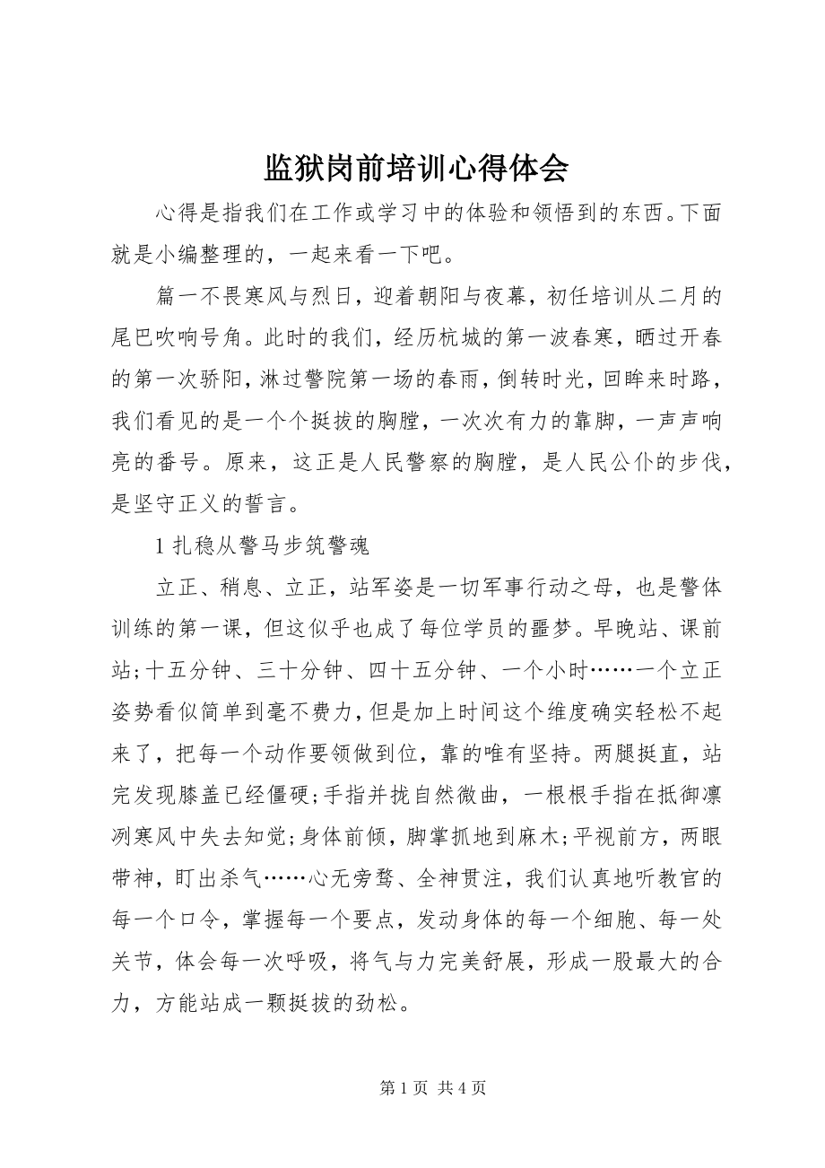 2023年监狱岗前培训心得体会.docx_第1页