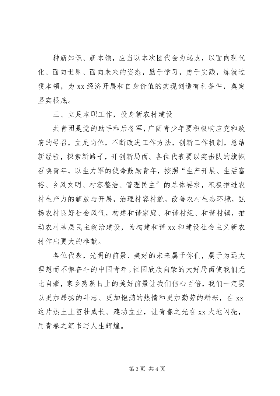 2023年团代会领导致辞稿.docx_第3页