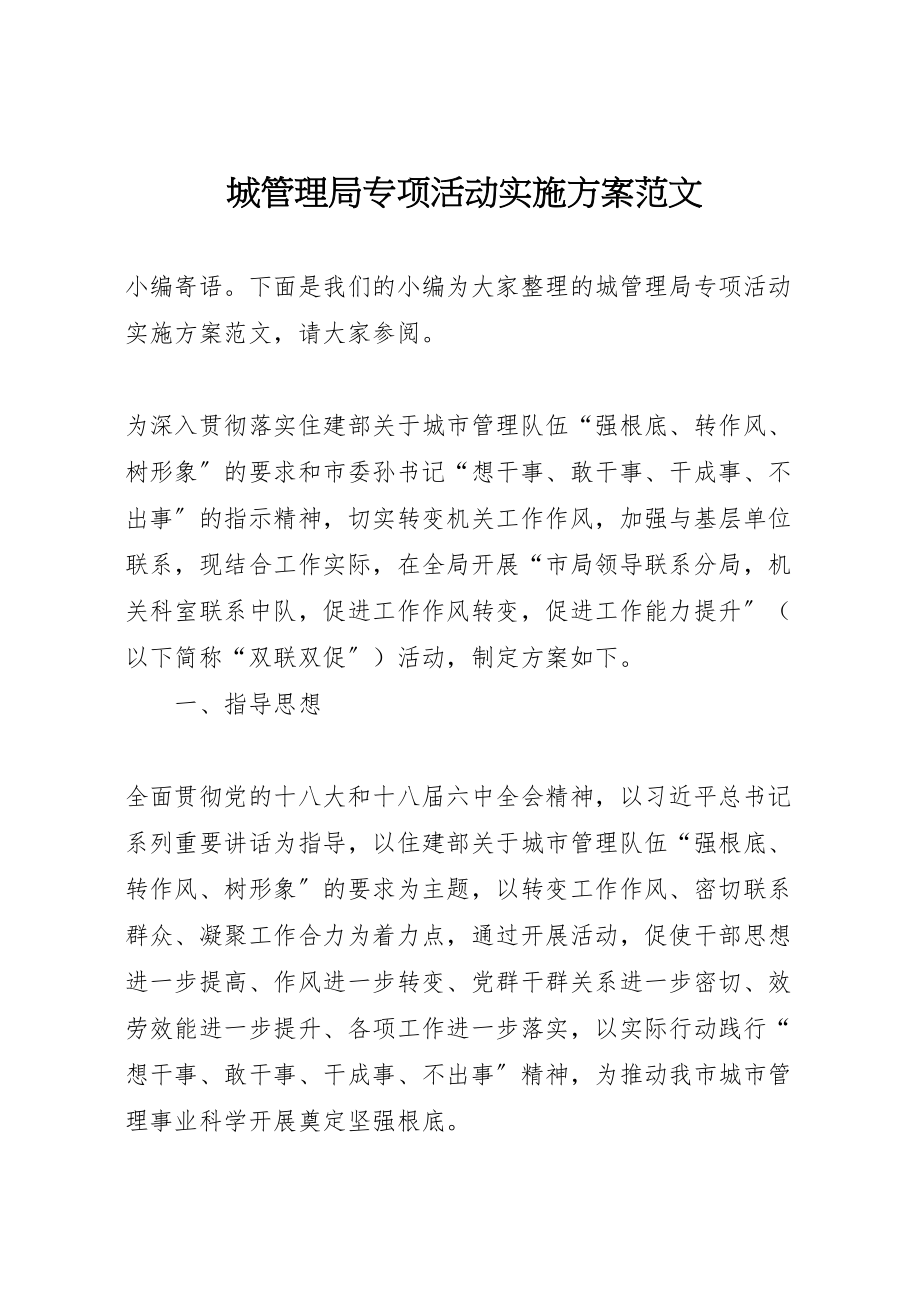 2023年城管理局专项活动实施方案范文.doc_第1页