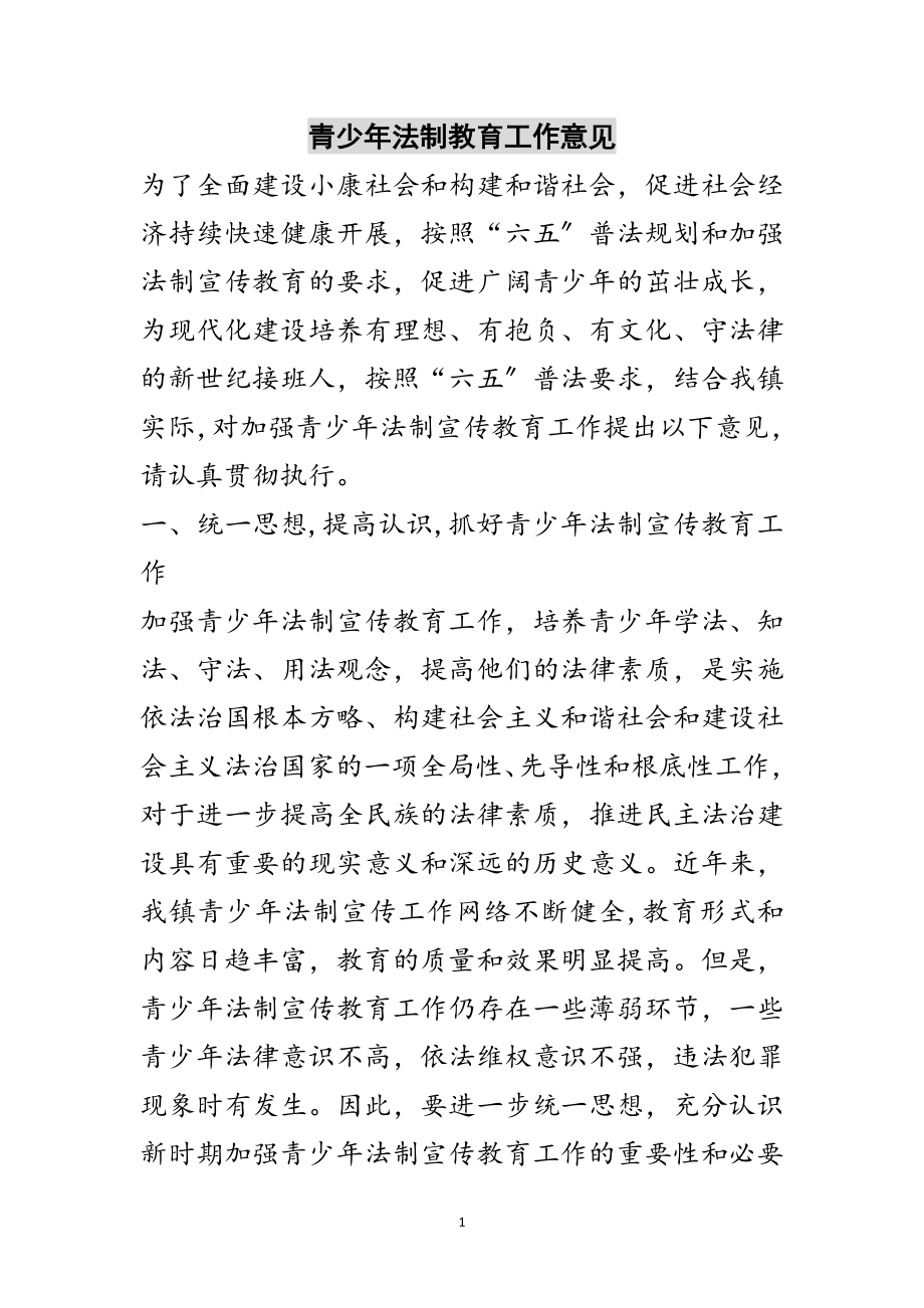 2023年青少年法制教育工作意见范文.doc_第1页